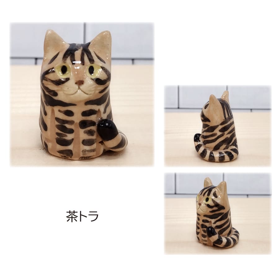 1581401_cat