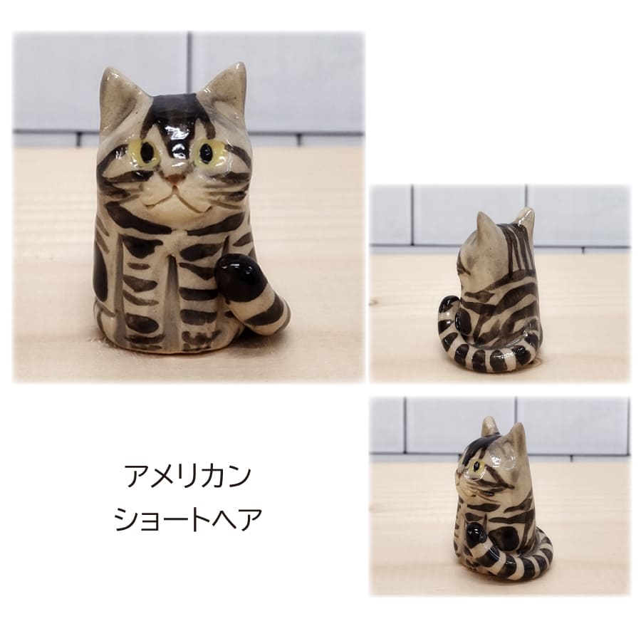 1581401_cat