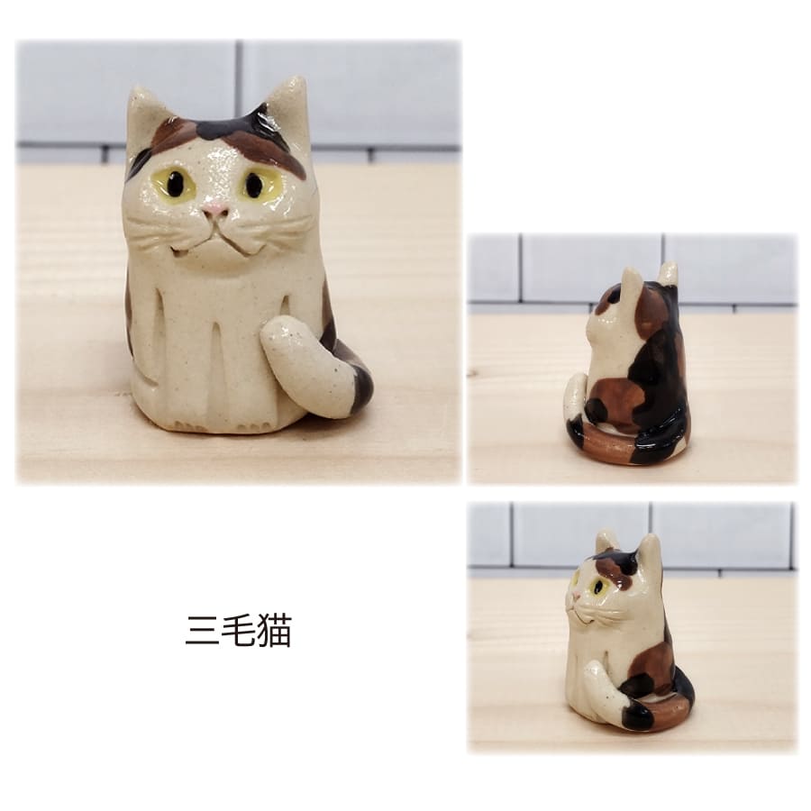 1581401_cat