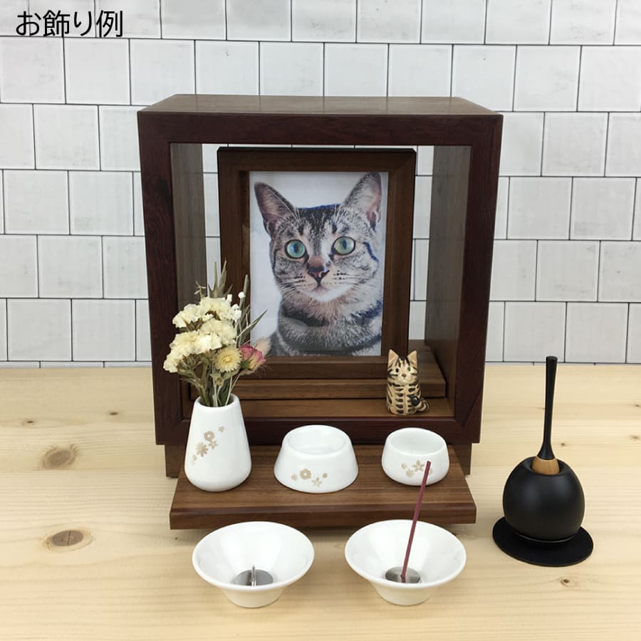 1581401_cat