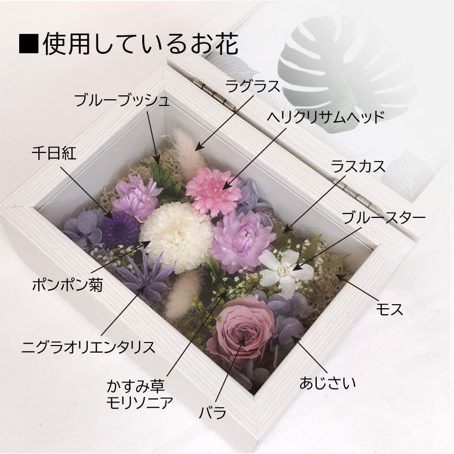 puriza_photostand