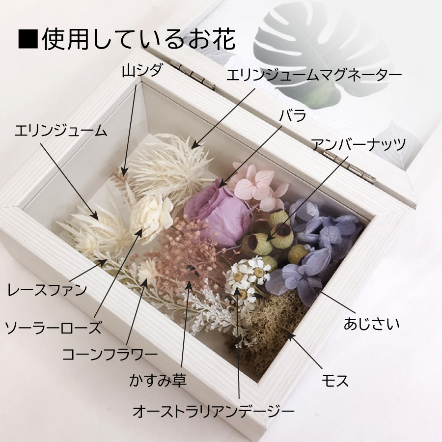 puriza_photostand