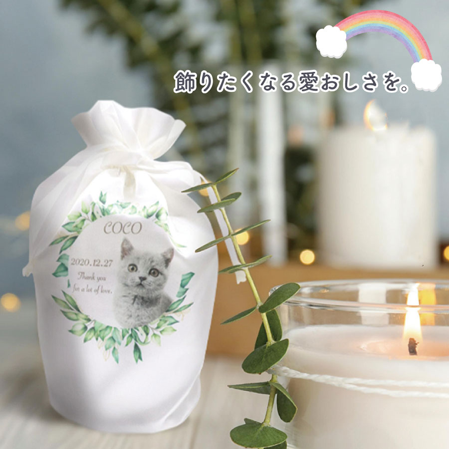 pet_akashi_kotutbocover_one