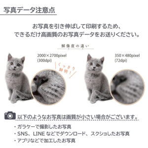pet_akashi_kotutbocover_one