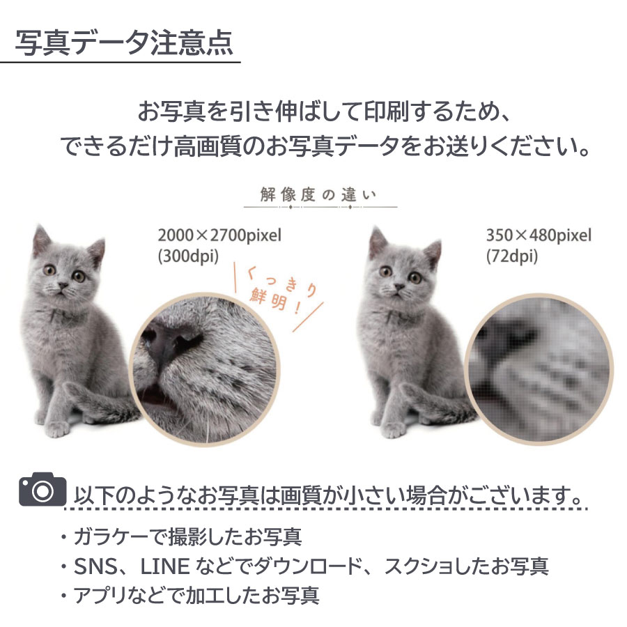 pet_akashi_kotutbocover_one