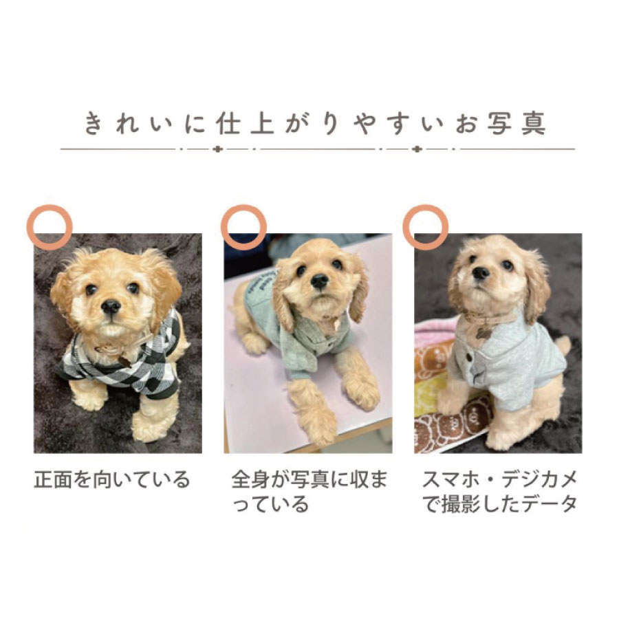 pet_akashi_kotutbocover_one