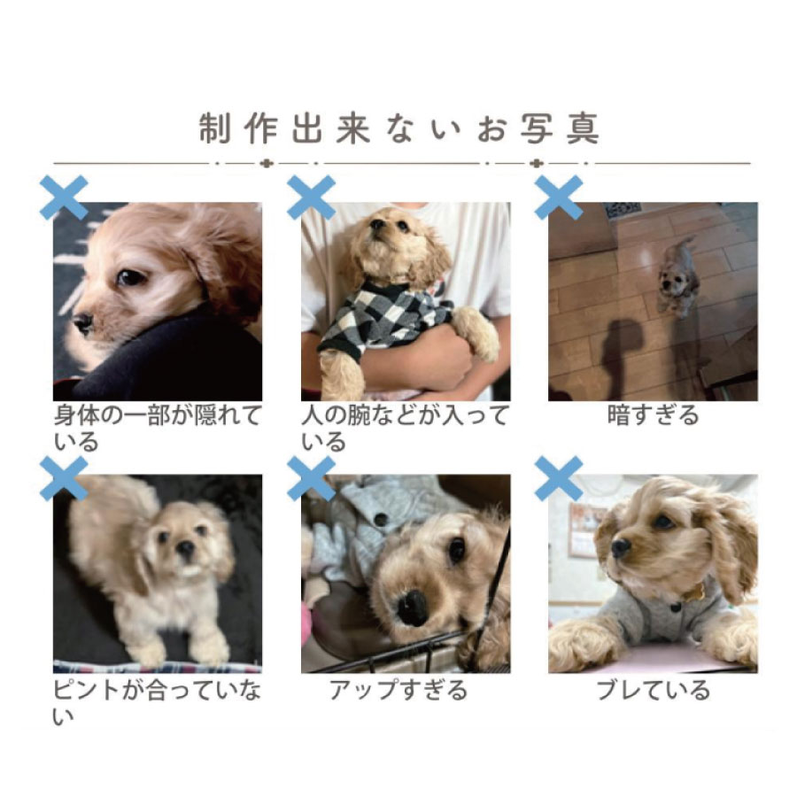 pet_akashi_kotutbocover_one