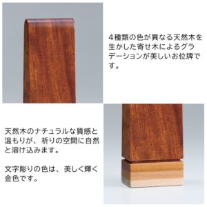 ihai_gendai-ihai_makaru-2