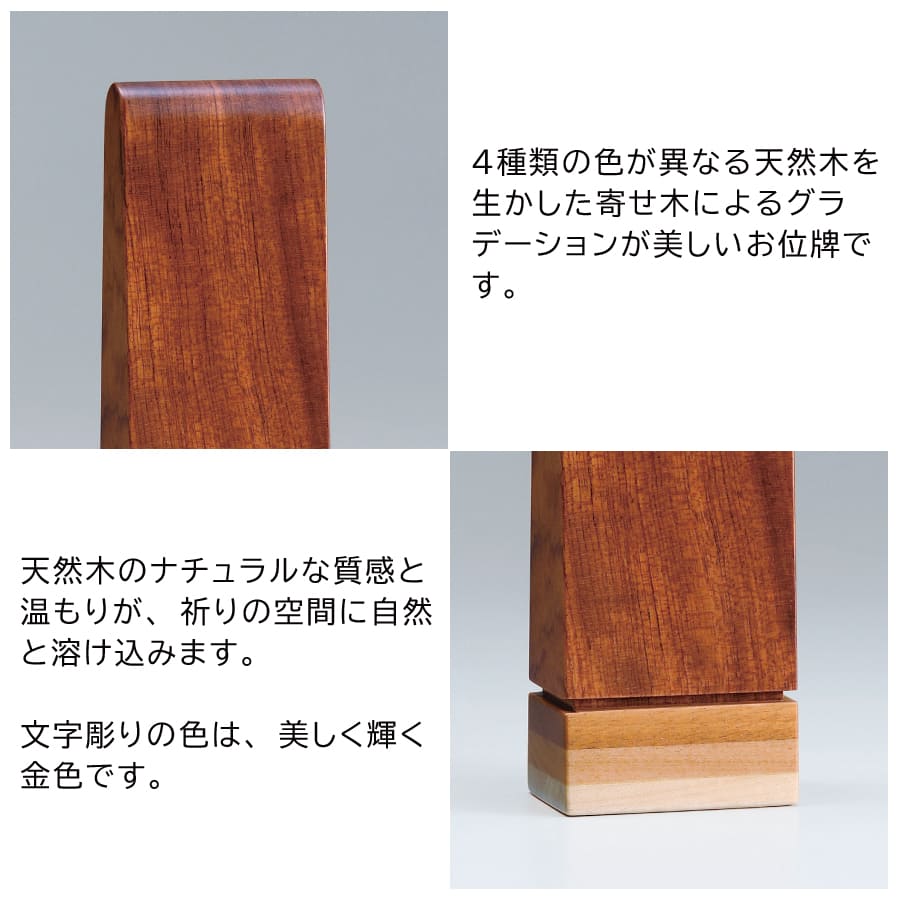 ihai_gendai-ihai_makaru-2