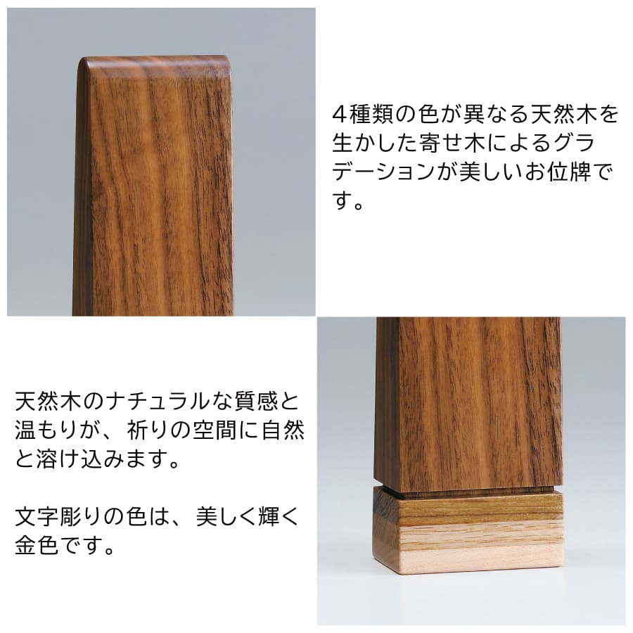 ihai_gendai-ihai_rotse2