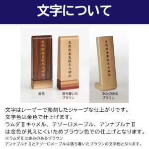 ihai_gendai-ihai-mozihori