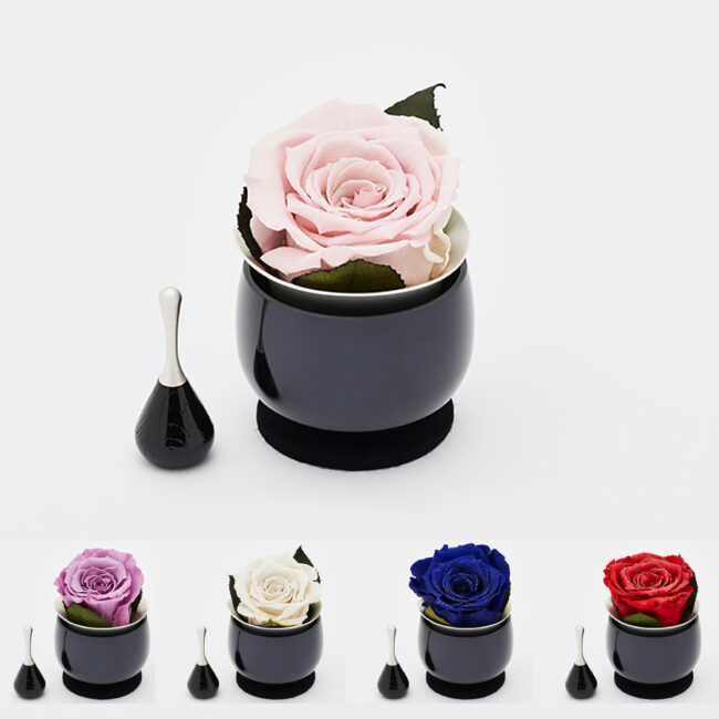 rinflora