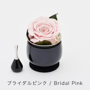 rinflora