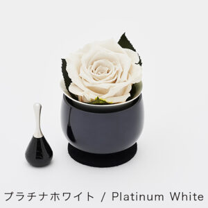 rinflora