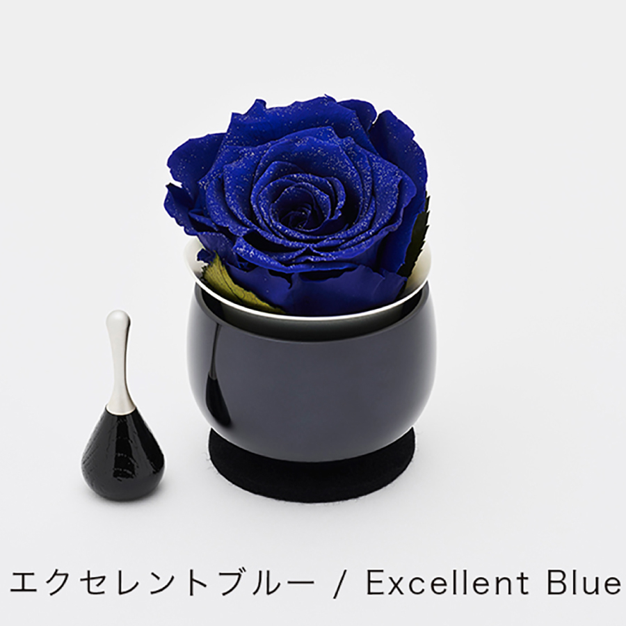 rinflora
