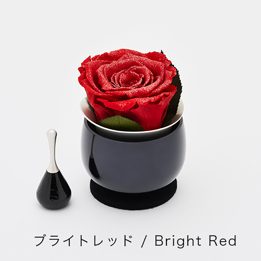 rinflora