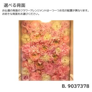 mirado_pink