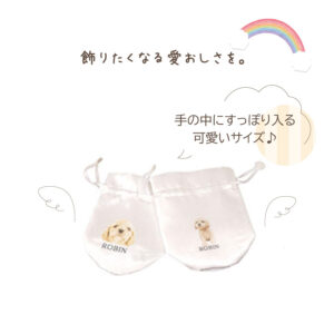 pet_akashi_kotutbocover_mini