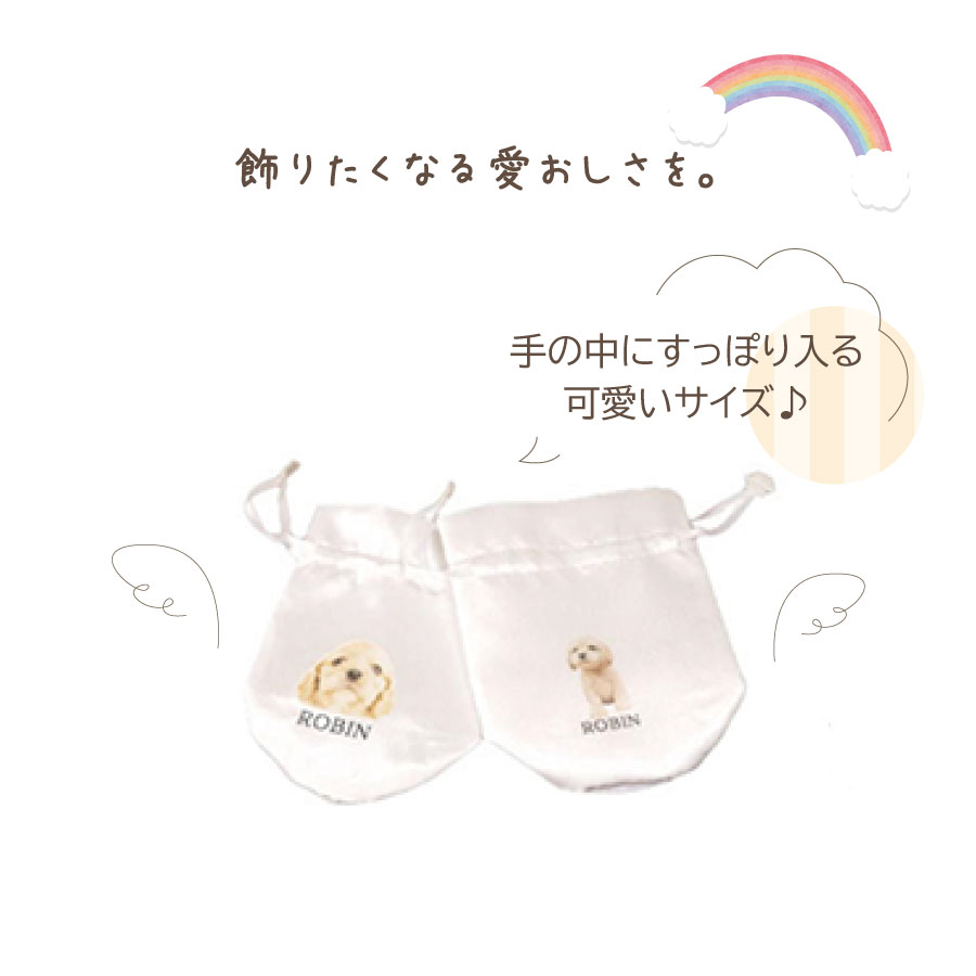 pet_akashi_kotutbocover_mini