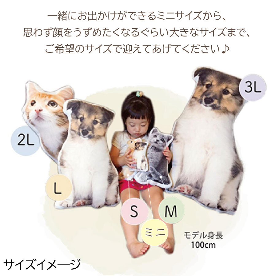pet_akashi_memorialcushion_set