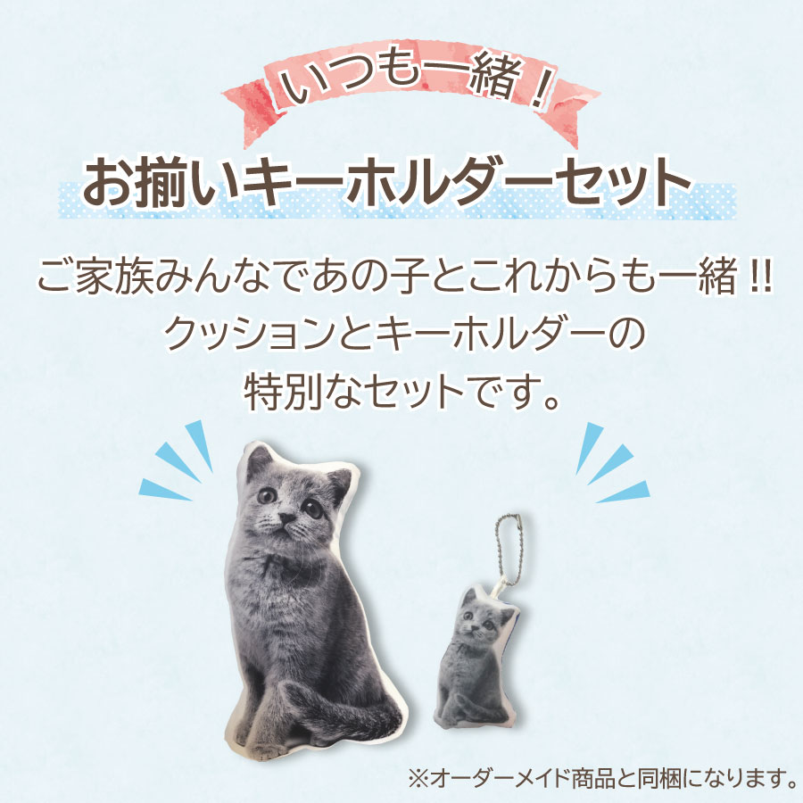 pet_akashi_memorialcushion_set