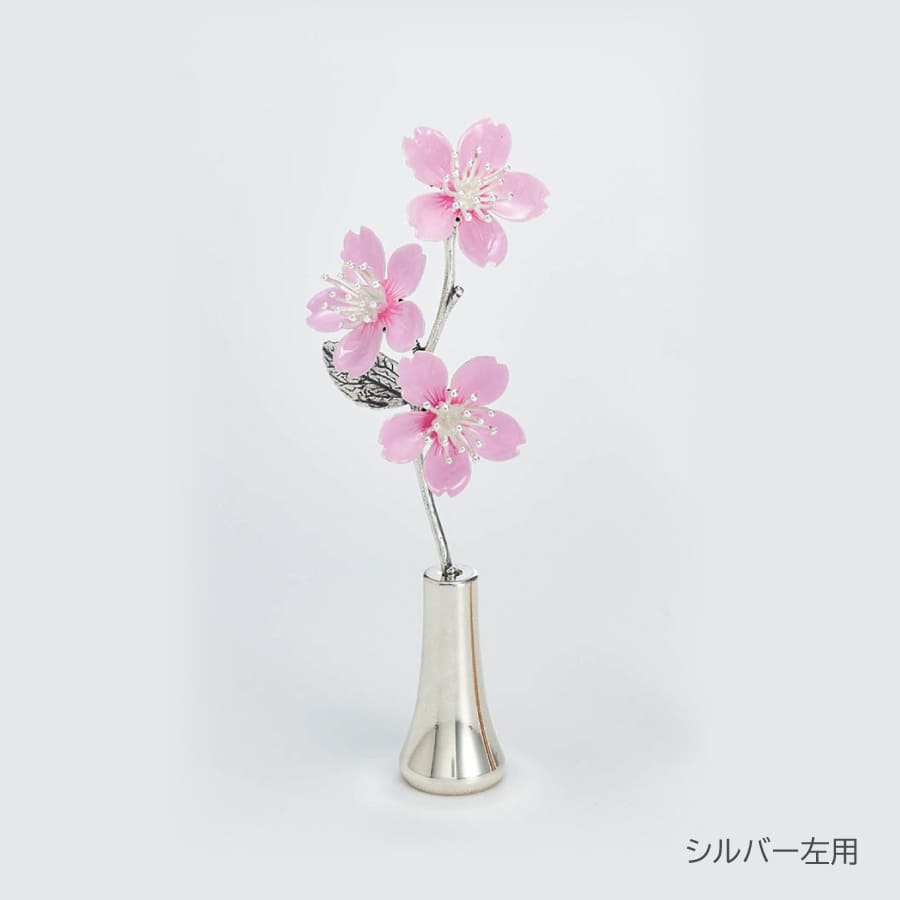 jyouka-sakura
