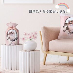 pet_akashi_kotutbocover_full