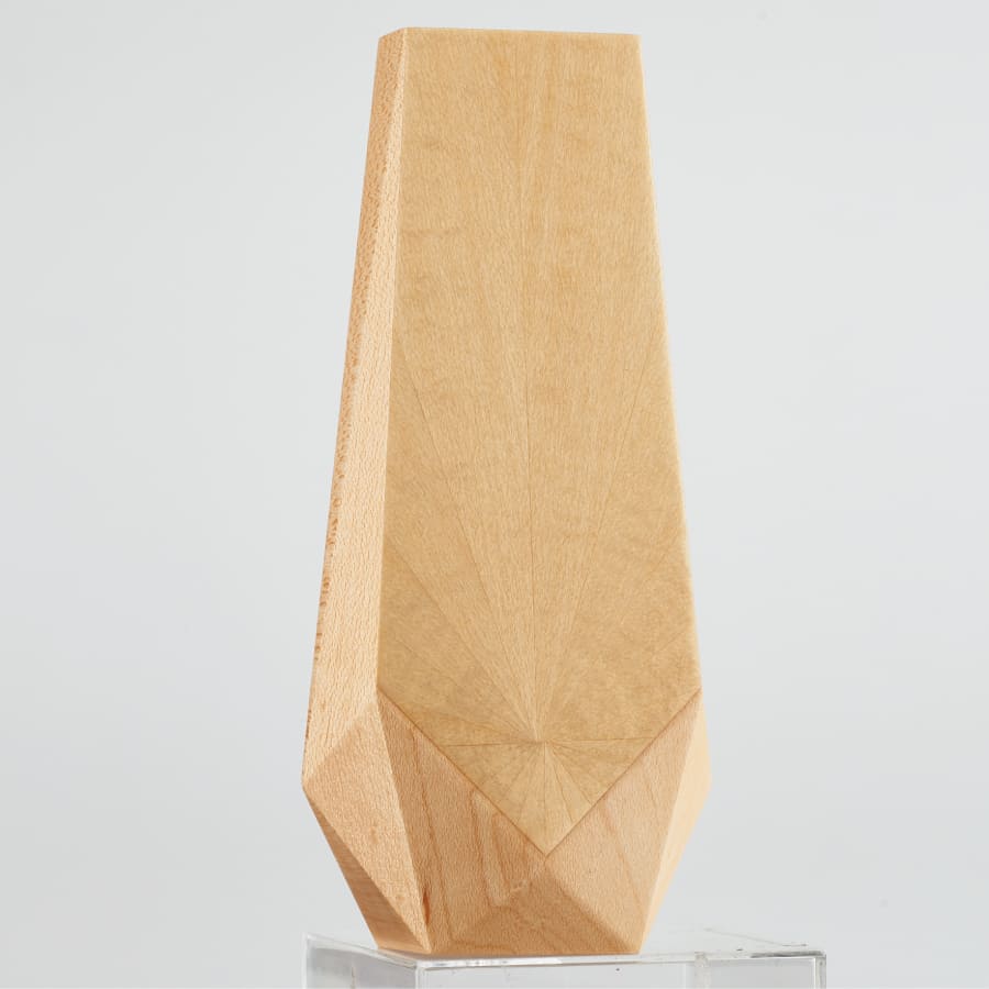 gendai-ihai-reyon_maple